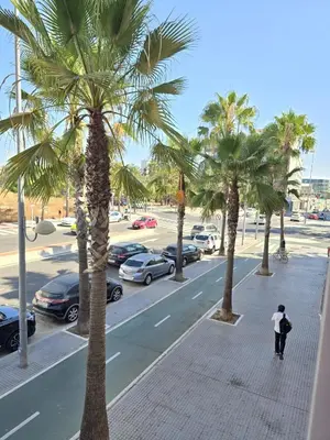 a man walking down a sidewalk next to palm trees at Piso de la Constitución de 1812 in Cádiz