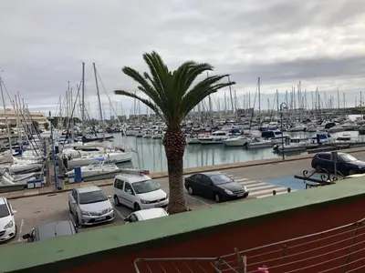 a palm tree in a parking lot next to a marina at Apartamento Playa La Muralla in El Puerto de Santa María