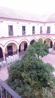 a building with chairs and a tree in front of it at Duplex convento la victoria in Sanlúcar de Barrameda