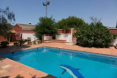 a swimming pool with a shark painted on it at Chalet Enol Sol in Chiclana de la Frontera