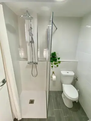a white bathroom with a shower and a toilet at Casa Rural La Yeguada in Malcocinado