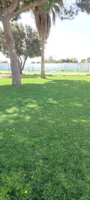 a park with two trees and a field of grass at Habitación en el centro de bienestar TFM in Cádiz