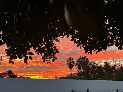 a sunset is seen through the leaves of a tree at Habitación en el centro de bienestar TFM in Cádiz