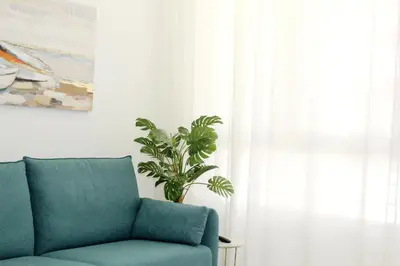 a green couch in a living room with a plant at Apartamento Infantas 26 in Sanlúcar de Barrameda