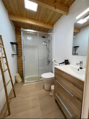 a bathroom with a shower and a toilet and a sink at Casita de madera Azul in Chiclana de la Frontera