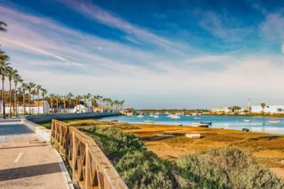 a view of a beach with palm trees and water at Dúplex Chiclana Centro con Terraza y Parking By Chiclana Dreams in Chiclana de la Frontera