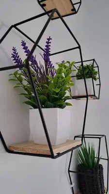a black plant stand with three plants on it at Allo Apartments Morenos V Centro Gran Terraza in Jerez de la Frontera