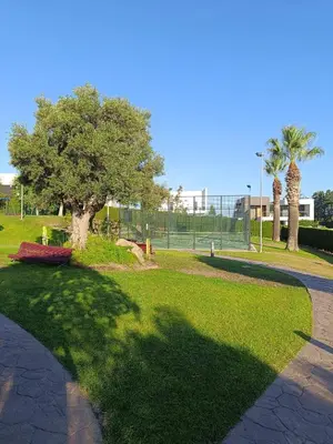 a shadow of a tree in a park at Oasis Flamencos Golf in Sanlúcar de Barrameda