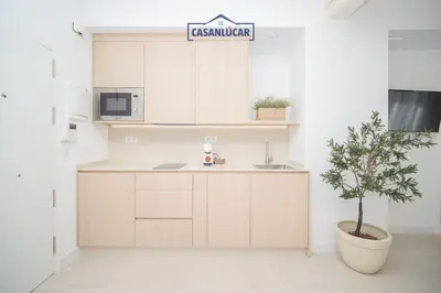 a kitchen with white cabinets and a potted plant at Sanlucar Centro - Apartamento 1 in Sanlúcar de Barrameda