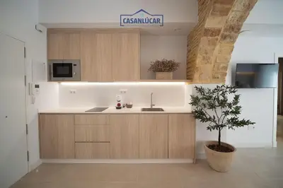 a kitchen with a sink and a counter with a plant at Sanlucar Centro - Apartamento 3 in Sanlúcar de Barrameda