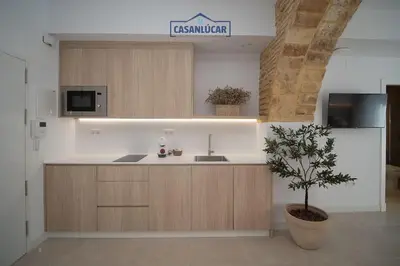 a kitchen with wooden cabinets and a sink and a plant at Sanlucar Centro - Apartamento 3 in Sanlúcar de Barrameda