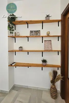 a wall of shelves in a room with plants at La Especiería relax by Sanlúcar Housing in Sanlúcar de Barrameda