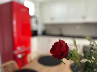 a red rose sitting on top of a table at AdEva Céntrico 3 Habitaciones in Jerez de la Frontera