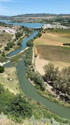 an aerial view of a river in a field at T&S La Bóveda in Arcos de la Frontera
