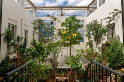 a greenhouse full of plants in a building at Hotel Alquimia Cadiz in Cádiz