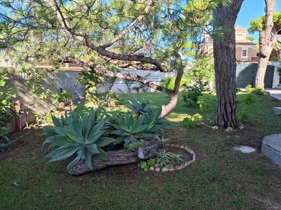 a garden with some plants in a yard at Ugaldenea- Playa in Chiclana de la Frontera