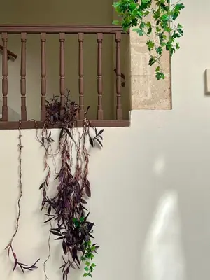 a balcony with a plant hanging from a railing at patio de luja centro parking y piscina in El Puerto de Santa María