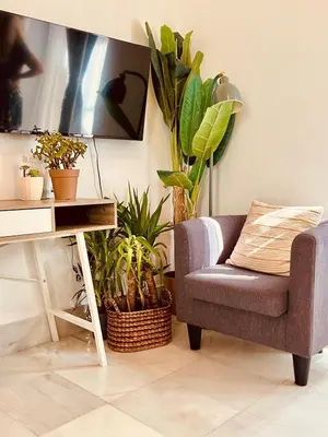 a living room with a couch and potted plants at patio de luja centro parking y piscina in El Puerto de Santa María
