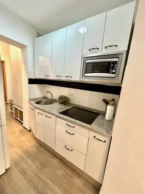 a kitchen with white cabinets and a sink and a microwave at GATU Castillo , 