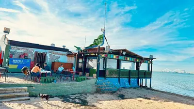 a building on the beach with a dog standing next to it at Bahía Azul Suites, Piscina & Pádel in San Fernando
