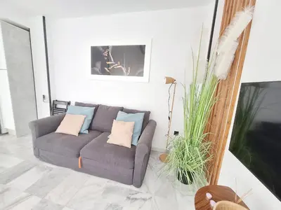 a living room with a gray couch with two pillows at Original y Coqueto en el Centro in El Puerto de Santa María