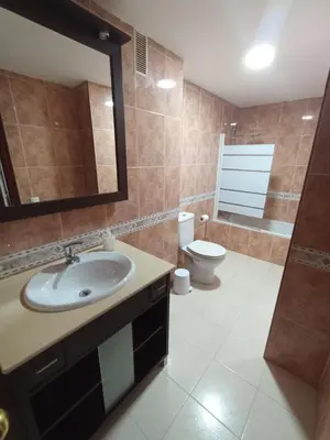 a bathroom with a sink and a toilet and a mirror at Doña Cora in San Fernando