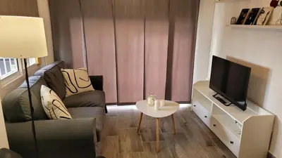 a living room with a couch and a tv at Apartamento Viñedos de Librado in Jerez de la Frontera