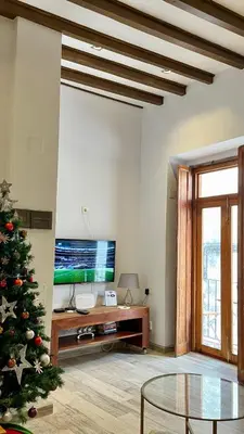 a living room with a christmas tree and a television at Apartamento bodegas de Cazón Barrio San Miguel in Jerez de la Frontera
