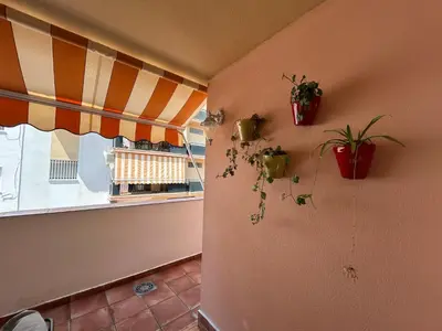 a room with potted plants on the wall and a window at La Marina, apartamento in Sanlúcar de Barrameda
