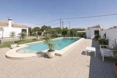 a swimming pool with palm trees in a backyard at Jopamar in Chiclana de la Frontera