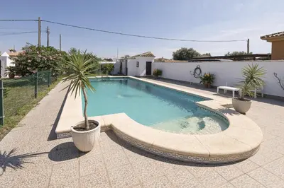 a swimming pool with a palm tree in a yard at Jopamar in Chiclana de la Frontera