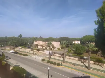 a view of a street with palm trees and a road at Áprtamento novo Santi Petri in Chiclana de la Frontera