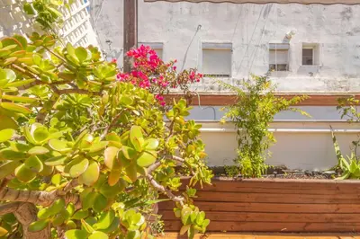 a building with flowers on the side of it at Cadizz-Ático El Falla con terraza de 40m2 in Cádiz