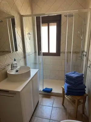 a bathroom with a sink and a shower at El Levante in Chiclana de la Frontera