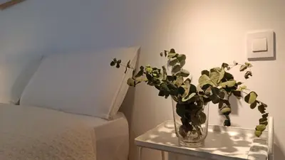 a flat screen tv sitting on a stand with a plant at Sherryflat Torán in Jerez de la Frontera
