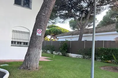 a no parking sign on a tree in a yard at Apartamento La Barrosa Beach in Novo Sancti Petri