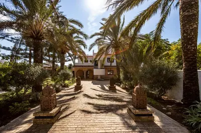 a house with palm trees and a brick driveway at Paraiso Perdido in Conil de la Frontera