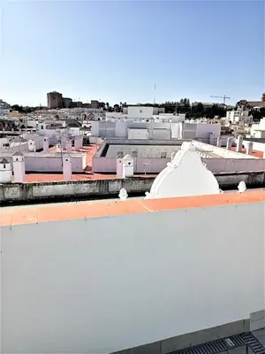 a view of a city from the roof of a building at El Anfitrión Palacio Argüeso 12 in Sanlúcar de Barrameda