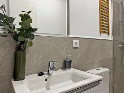 a bathroom with a sink and a vase with a plant at Apartamento Clavel - Ole Solutions in Jerez de la Frontera