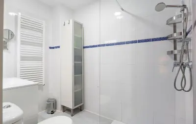 a white bathroom with a shower and a toilet at Pet Friendly Apartment in El Puerto de Santa María