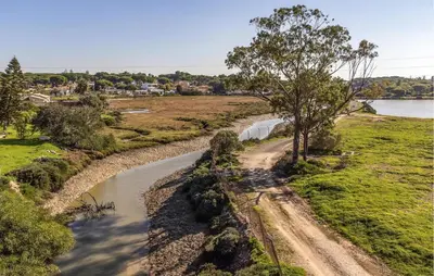 a dirt road next to a river with a tree at Stunning Home In Chiclana De La Fronter in Novo Sancti Petri