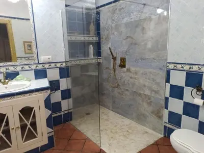 a bathroom with a shower with a sink and a toilet at Cielos Casona in El Puerto de Santa María