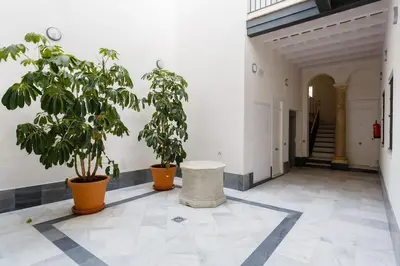 a hallway with two potted plants in a building at Apartamento Miracadiz in Cádiz
