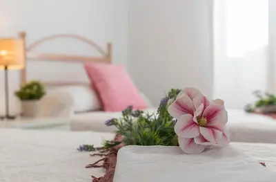 a pink flower sitting on top of a bed at Vistahermosa Piscina Vistas in El Puerto de Santa María
