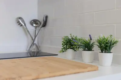 three plants in white pots on a kitchen counter at Vistahermosa Piscina Vistas in El Puerto de Santa María