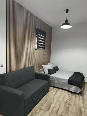 a living room with a couch and a bed at Apartamento Empedrado in Jerez de la Frontera