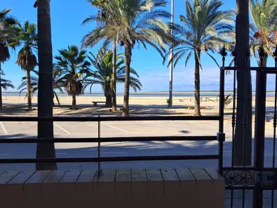 a beach with palm trees and a tennis court at PLAYA PASEO MARITIMo in Sanlúcar de Barrameda