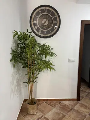 a clock on a wall next to a plant at Villa jiguera in Cádiz