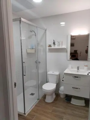 a bathroom with a shower and a toilet and a sink at Patio & Sherry Apartamento in Jerez de la Frontera