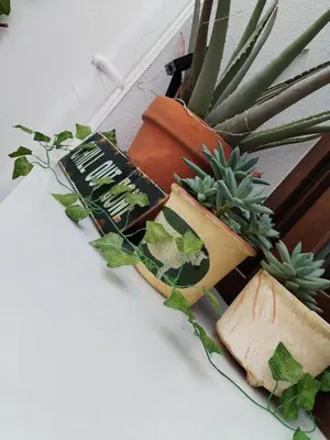 a plant sitting on a table next to a book at Patio & Sherry Apartamento in Jerez de la Frontera